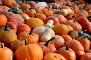 Pumpkins, seasonal vegetables