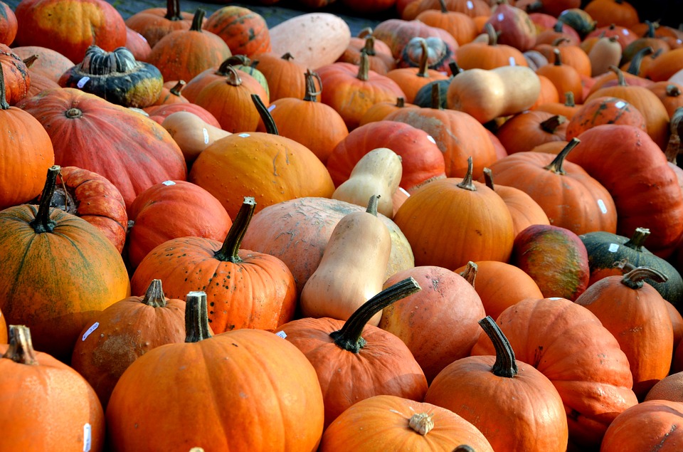Pumpkins, seasonal vegetables